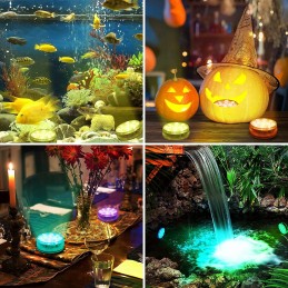 2x povandeniniai LED baseino šviestuvai, nuotolinio valdymo pultas