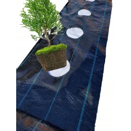 Agromedžiaga, didelės skylės tujoms kas 60cm, 0,6x10m