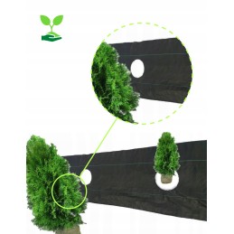 Žemės ūkio audinys tujoms, skylutės kas 60cm, 0,6x10m, pupos, pomidorai, mėlynės, avietės