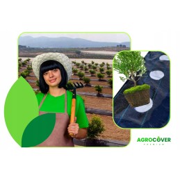 Žemės ūkio audinys tujoms, skylutės kas 60cm, 0,6x10m, pupos, pomidorai, mėlynės, avietės