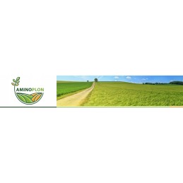 Tikslinis papildomas chloras dezinfekuoja baseino vandenį 1 kg