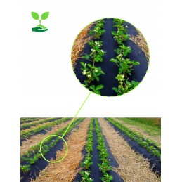 Agrotekstilė nuo piktžolių 1,6 x 10 m p80 stiprus pasėlių žievės akmuo