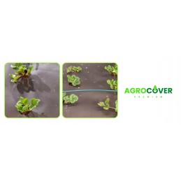 Agrotekstilė nuo piktžolių 1,6 x 10 m p80 stiprus pasėlių žievės akmuo