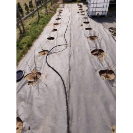 Aqua Drop prakaito drėkinimo žarna 20m wad1 2020 m