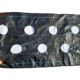 Agromedžiaga braškėms su skylutėmis 110x500cm
