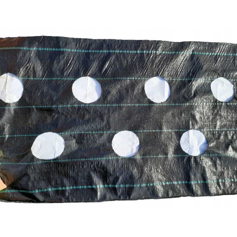 Agromedžiaga braškėms su skylutėmis 110x500cm