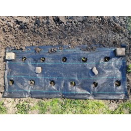 Agromedžiaga braškėms su skylutėmis 110x500cm