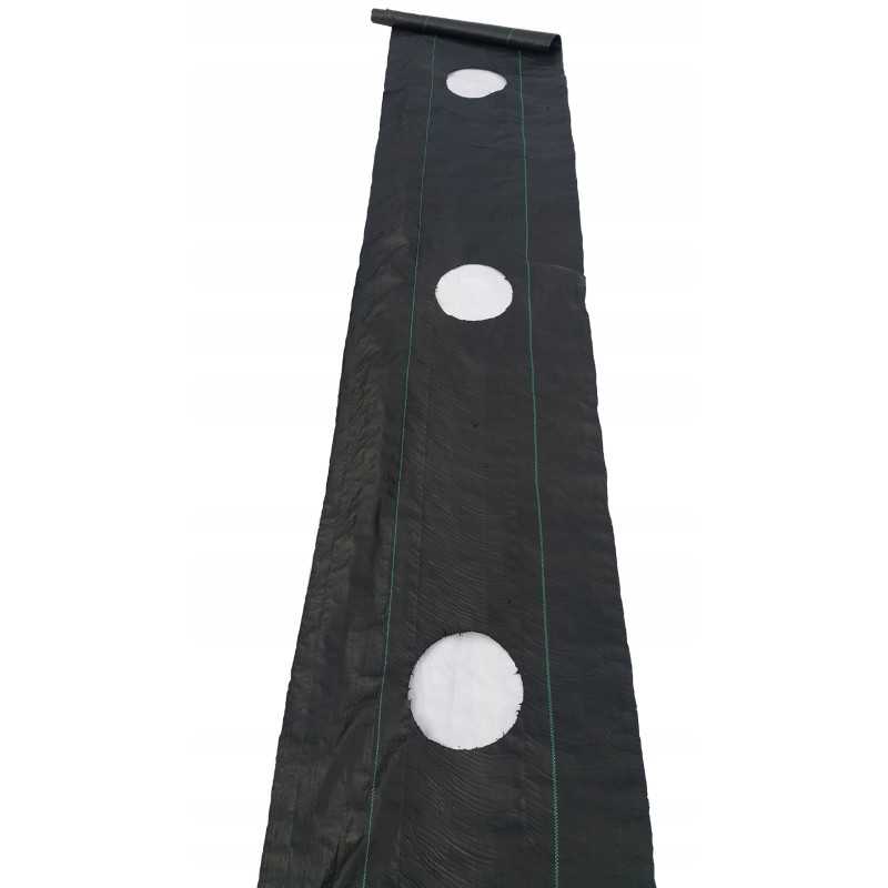 Agrotkanina skylė tuja pomidoras raguotas salata0 6x10m