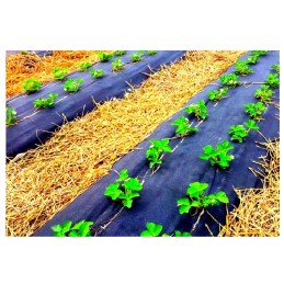 Augalinis audinys nuo piktžolių 1 6 x 10 m p80 stiprus