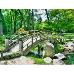 LED saulės sodo lempa Akmeninis šviestuvas lauko sodui, 4 spalvos