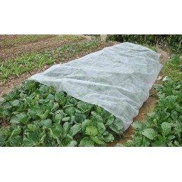 Agrotekstilė žieminė agrotekstilė 3,2x10m + smeigtukai