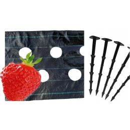 Agroaudinis kilimėlis su skylutėmis braškėms diegliukais