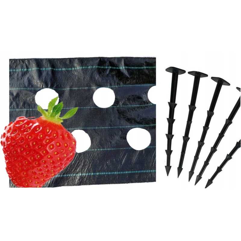 Agroaudinis kilimėlis su skylutėmis braškėms diegliukais