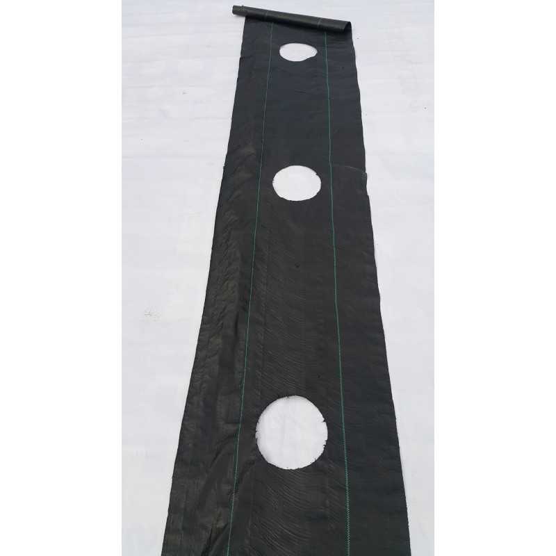 Agroaudiniai skylės po tuje jagode etc 0 8x10m