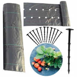 Agrotaudinys 110 cm x 5 m kilimėlis su skylutėmis braškėms + kaiščiai 10 vnt 90g/m2