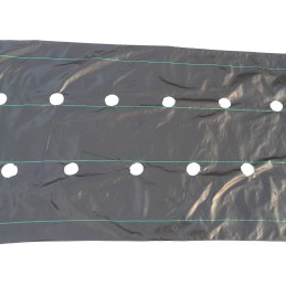 Agrotaudinys 110 cm x 5 m kilimėlis su skylutėmis braškėms + kaiščiai 10 vnt 90g/m2