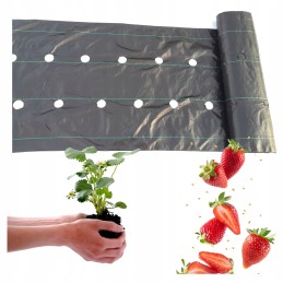 Agrotekstas su skylutėmis braškėms 60 cm x 10 m piktžolių kilimėlis 90g/m2