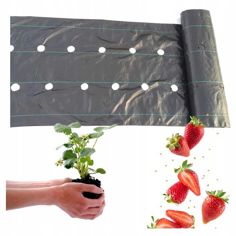 Agrotekstas su skylutėmis braškėms 60 cm x 10 m piktžolių kilimėlis 90g/m2