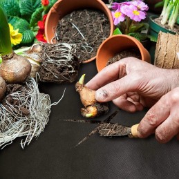 Agrotekstilė sodui, agrotekstilė, juodas kilimėlis sodo akmenims, 50 m