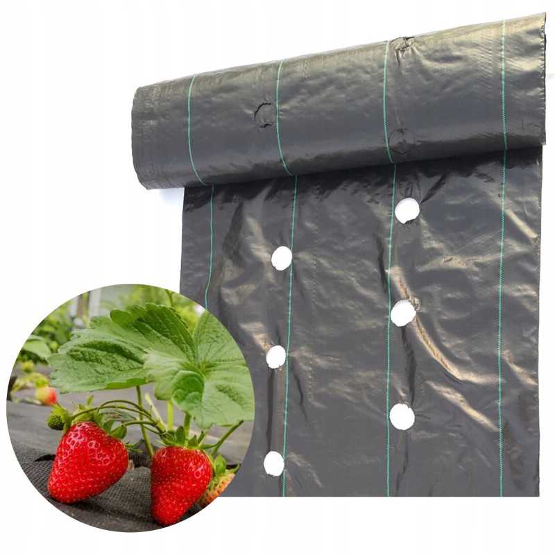 Agrotekstas su skylutėmis braškėms, juodas, 60 cm x 10 m, 90 g/m2, tvirtas, ilgaamžis
