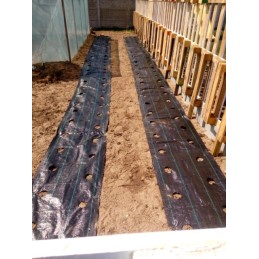 Agrotekstas su skylutėmis braškėms, juodas, 60 cm x 10 m, 90 g/m2, tvirtas, ilgaamžis