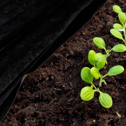 Juoda nuo piktžolių agrotekstilė 50g/m2