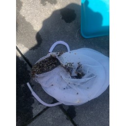 intex dulkių siurblio baseino valymo rinkinys