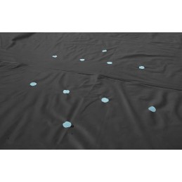 Baseino danga dengia 305 cm bestway dėklą