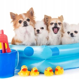 20x baseino remonto rinkinys, tvirti PVC čiužinio lipdukai