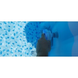 LED lempa baseino SPA, 7 spalvų, daugiaspalvė bestway