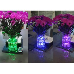 LED lempos 2x nuotolinio valdymo pultelis apšvietimas akvariumui, baseinui, tvenkiniui, atsparus vandeniui