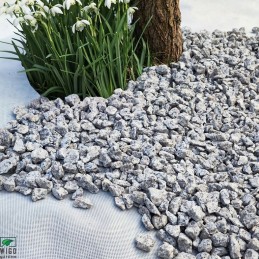 Wigo-garden balta agrotekstilė 100g su UV - labai stipri