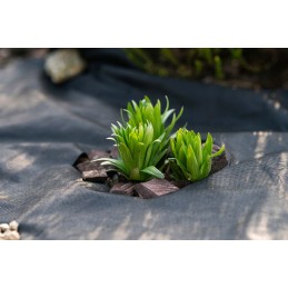 Agrotkanina rinkinys braškėms 20m x 1,6m + inkaras