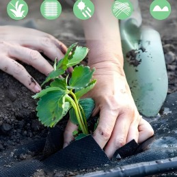 Agrotekstilė agrotekstilė juoda 70g 0,8x50m piktžolės uv3% kilimėlis nuo piktžolių