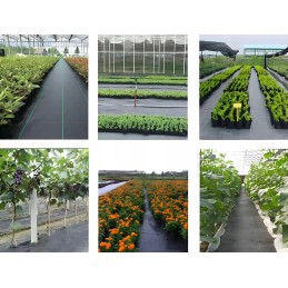 Agrotekstilė agrotekstilė juoda 70g 0,8x50m piktžolės uv3% kilimėlis nuo piktžolių