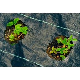 ✨ Sodo agrotekstilė mulčiavimui,