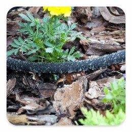 Aqua Drop prakaito drėkinimo žarna 25m WAD1 2025