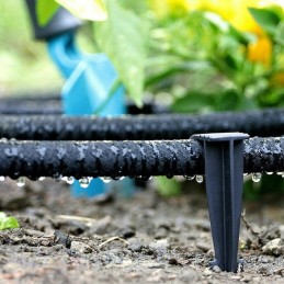 Aqua Drop prakaito drėkinimo žarna 25m WAD1 2025