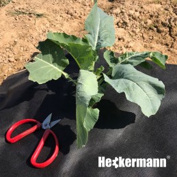 Agrotekstilė nuo piktžolių matinė juoda UV agrotekstilė 1,6x20m 50g/m2 storio