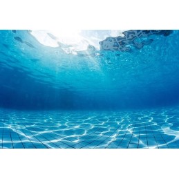 Didelis vasaros geriausias didelio baseino klijų rinkinys