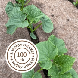 Naujas biovatos mulčiavimas 0,8 x 5m agrimpex 250g/m2