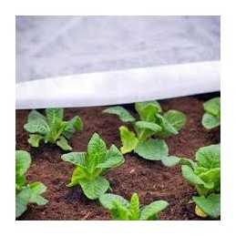 Balta spyruoklinė agrotekstilė, plotis 1,6 m per metrą. geriausias Allegro pasiūlymas.