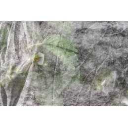 Balta spyruoklinė agrotekstilė, plotis 1,6 m per metrą. geriausias Allegro pasiūlymas.