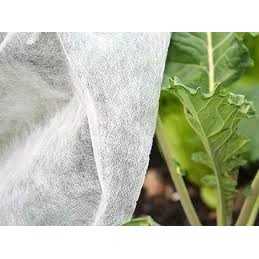 Balta spyruoklinė agrotekstilė, plotis 1,6 m per metrą. geriausias Allegro pasiūlymas.