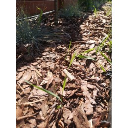 Agrotekstilė juoda 1,1m x 50m 70g/m²