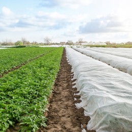 Balta pavasarinė agrotekstilė 17g - 2,1 x 30 m