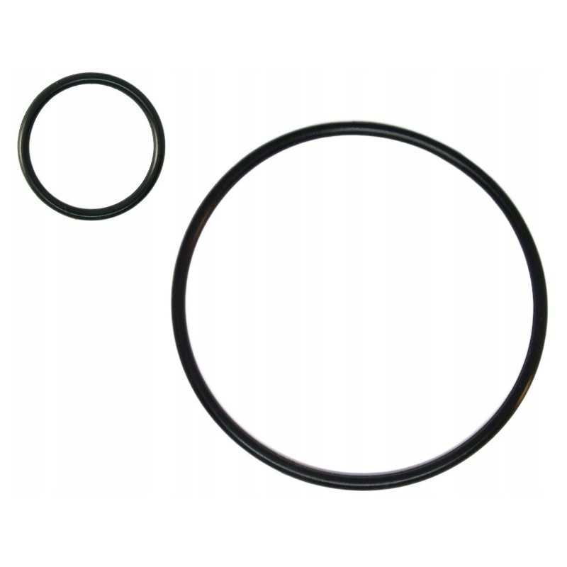 Bestway siurblio filtro sandarikliai 58515 58397