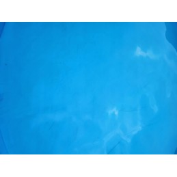 Tinklinis dulkių siurblys baseino dugnui valyti