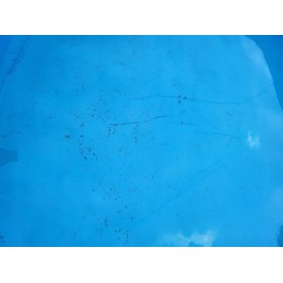 Tinklinis dulkių siurblys baseino dugnui valyti