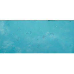 Tinklinis dulkių siurblys baseino dugnui valyti